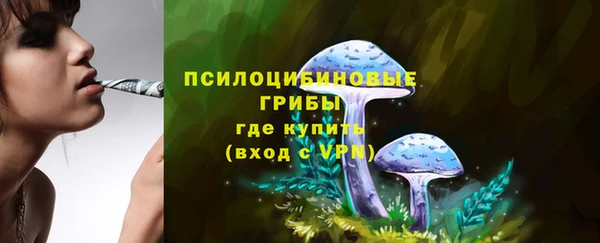 молекула духа Алзамай
