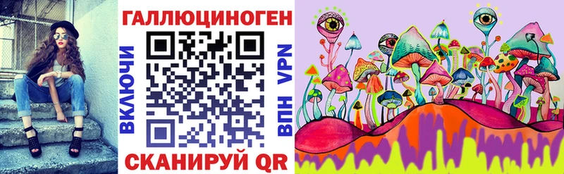 купить   Болхов  Галлюциногенные грибы Psilocybe 