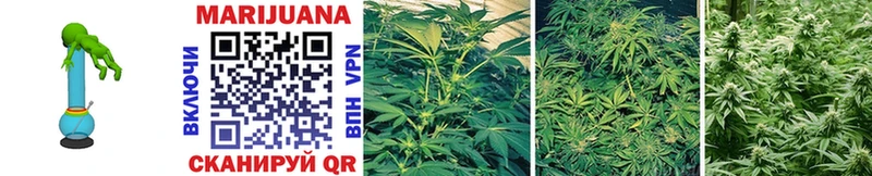 дарнет шоп  Болхов  Каннабис OG Kush 